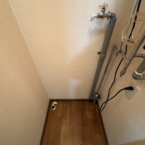 ＪＵＮＯ’Ｓのその他
