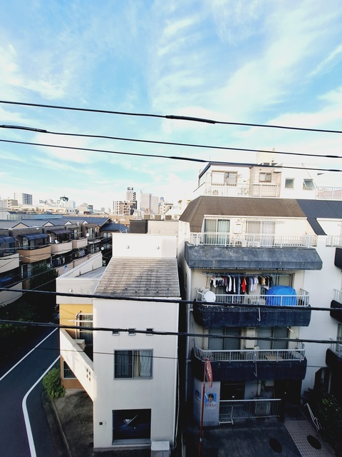 フクジュソウの展望