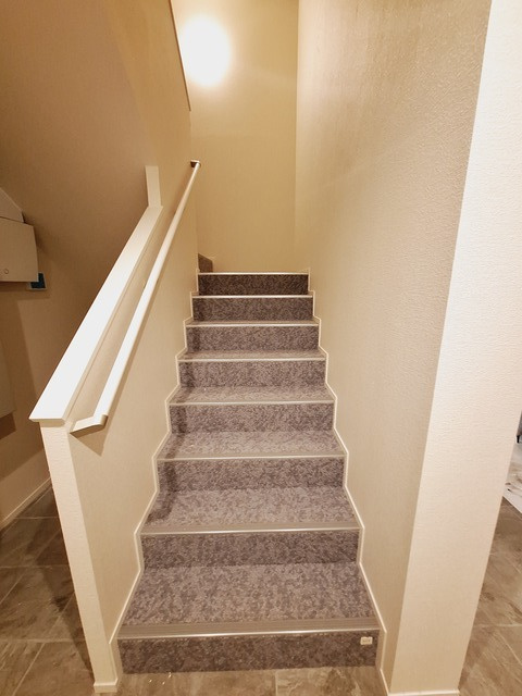 フクジュソウのロビー