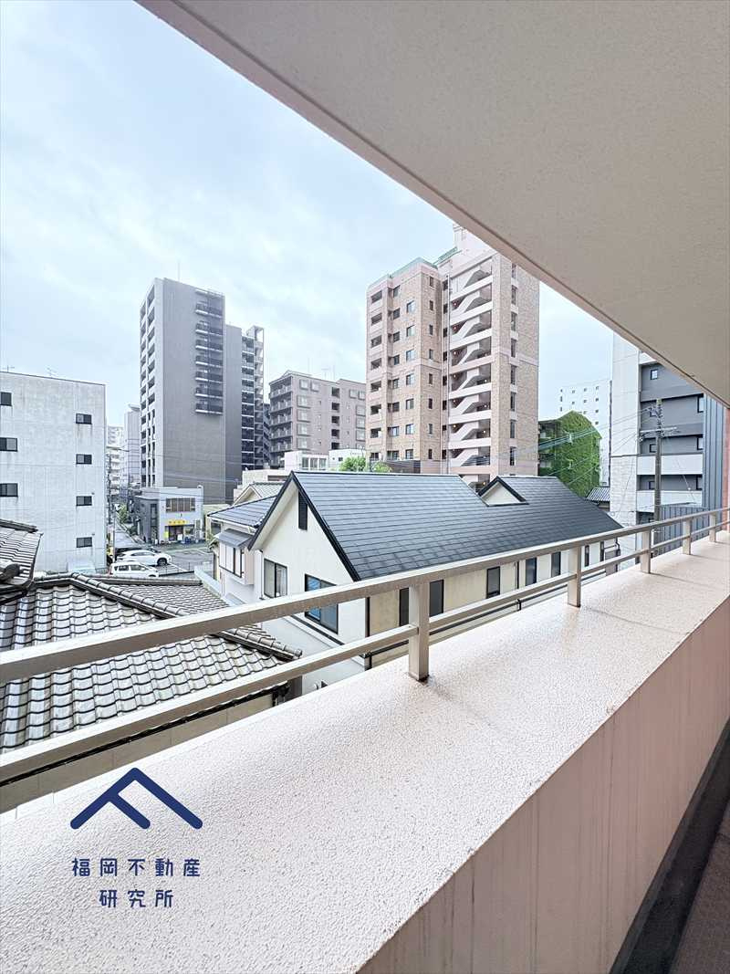 サンリヤン薬院公園の展望