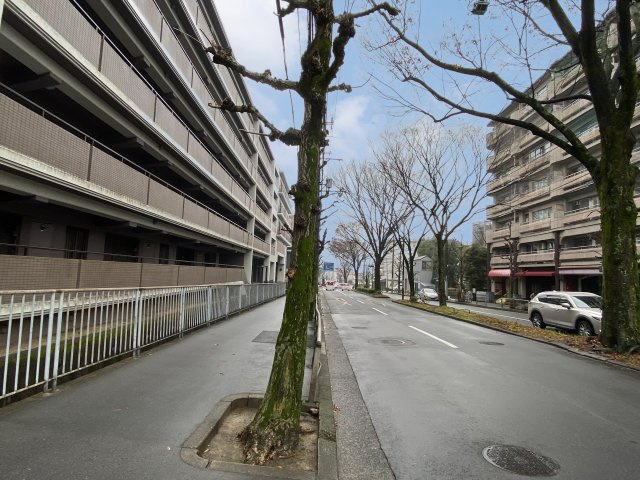 グランドメゾン修学院１番館