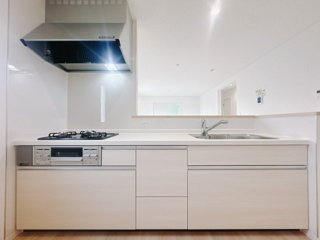 【新築戸建】　藤岡市本郷第２のキッチン|■キッチン（2号棟）｜作業がはかどる広々カウンタースペース。会話がはずむ「オープンキッチン」なので家族とのコミュニケーションも活発になります。