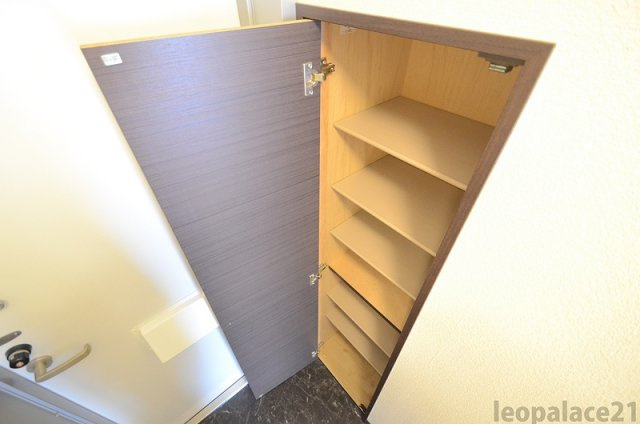 レオネクストフラワーヒルⅢの収納