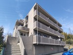 Ｂｒｅｅｚｅ　ｃｏｕｒｔ