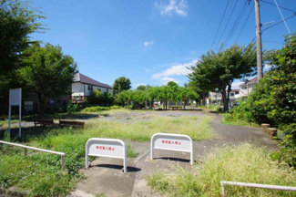 【周辺】 | 南側の公園