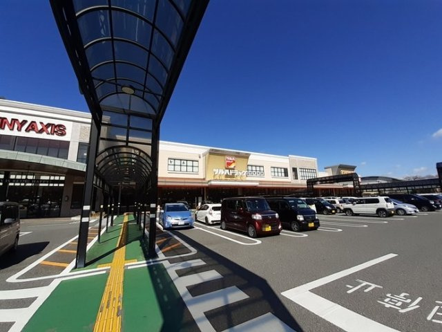 エルディム枝川Ⅱの周辺|その他