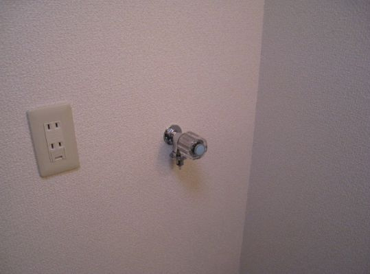 アムールルネのその他