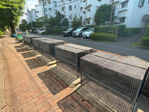 の-の画像