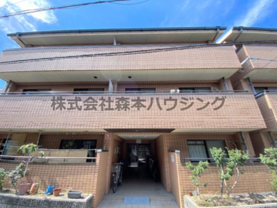 【外観】 | 　文夫ハイツⅡ | 落ち着いた雰囲気の外観です
