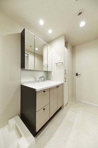 ロイジェント銀座の洗面所