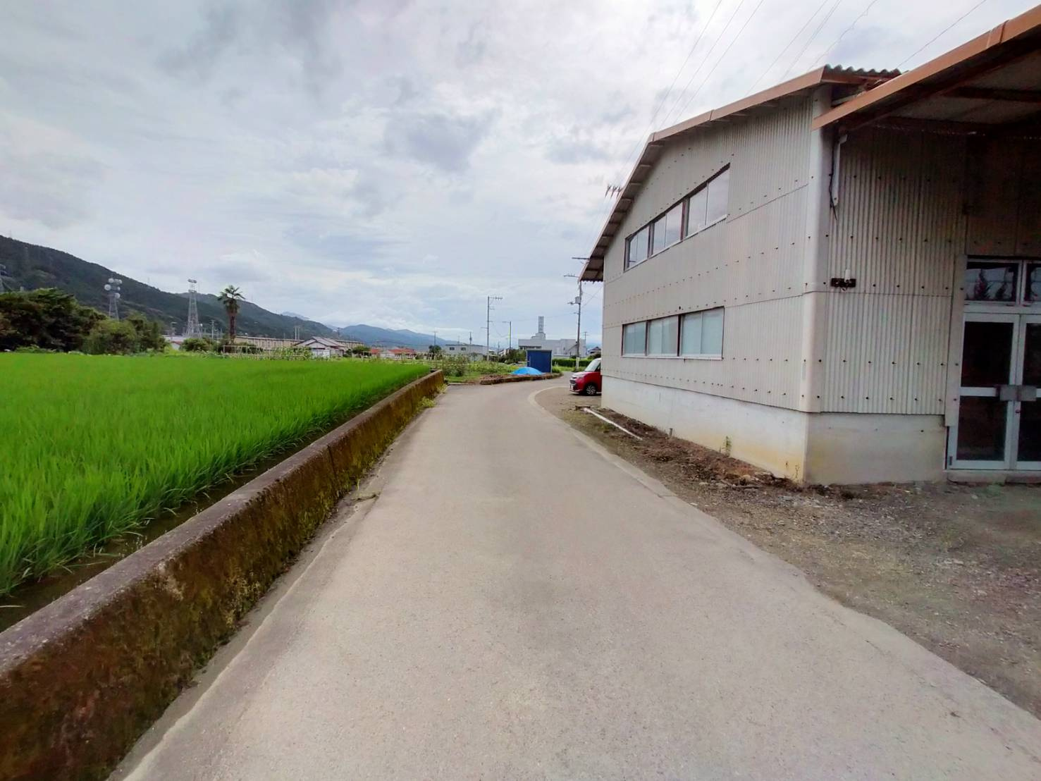 西条市飯岡2279番5　売土地の周辺|現地写真（南側　前面道路）