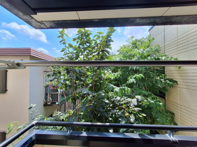 ヘーベルメゾン石神井公園の展望
