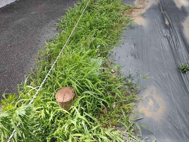 【外観】 | ふじみ野市福岡武蔵野 | 本下水