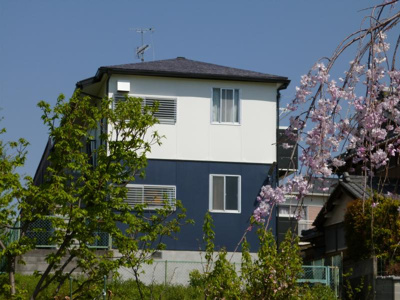 【周辺】 | フラットＮ