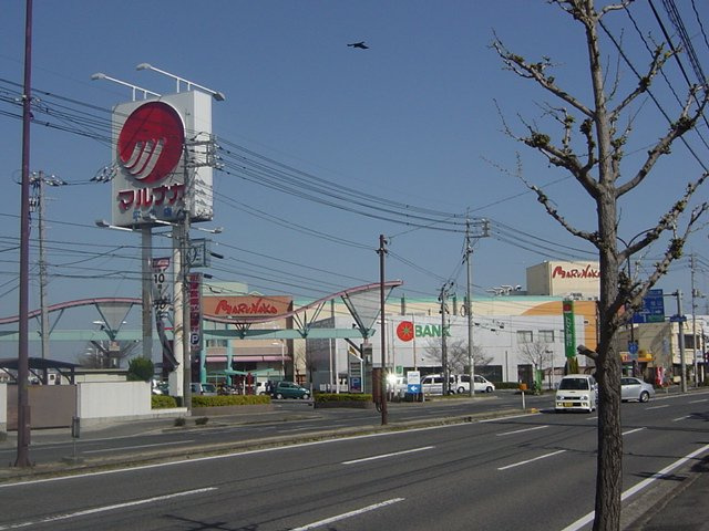 【周辺】 | グレイスヴィラ倉田 | 山陽マルナカ平井店（スーパー）まで589ｍ