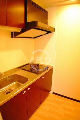 プレジオ南堀江のキッチン|プレジオ南堀江　2口ガスシステムキッチン