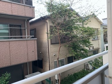 【展望】 | カーサ大島