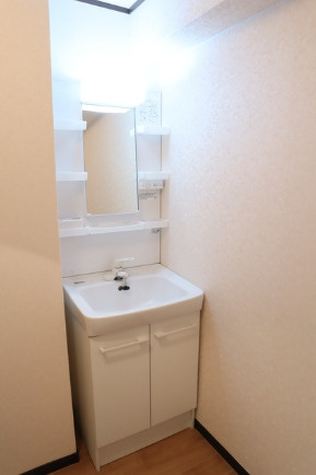 第1HIROハイツ【10.000円キャッシュバック対象】の洗面所