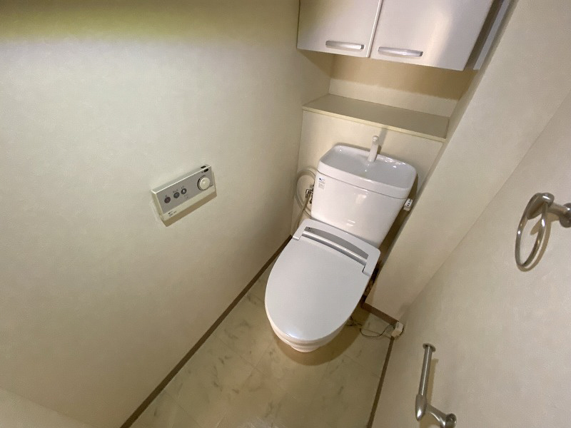 神戸市兵庫区下沢通１丁目の賃貸マンションのトイレ|トイレ