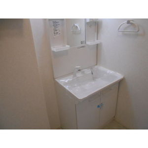 フォレストメゾン高嶋の洗面所|広い洗面スペース