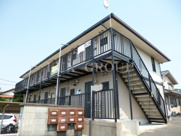 プリメーラの画像