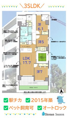 【間取り】 | ＼「大磯」駅から徒歩5分の2015年築 3SLDKマンション／　　
大切なペットと暮らすことも可能♪テラス及び専用庭付き◎
