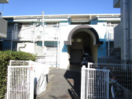 ホワイトコートカヤの画像