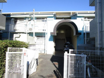 ホワイトコートカヤの画像