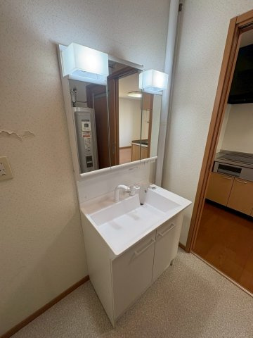 カーサ文苑2号館の洗面所