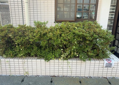 【庭】 | 朝日プラザ南橋本 | 物件によっては、入居者が個人的に使用できる専用庭がついているものもあります。また、住宅の中にある土間の部分を庭と呼ぶこともあります。庭の用途は住む人によって変わり、それによってデザインもさまざまです。