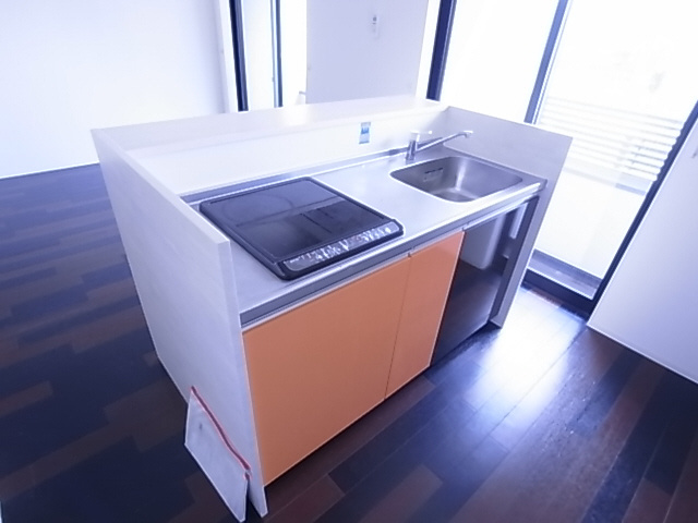 神戸市須磨区須磨浦通６丁目のアパートのキッチン|システムキッチン（ＩＨ２口）