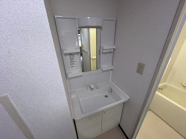 アルタイル中上の洗面所