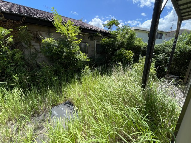柳橋売り中古戸建ての庭