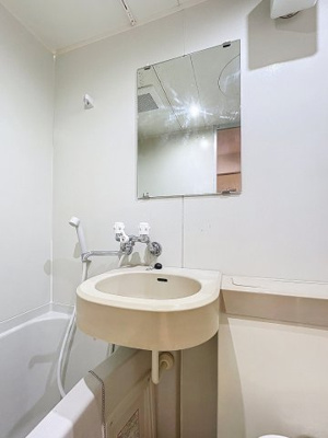 【洗面所】 | ジェイパーク下丸子弐番館 | 月額管理料無料！賃貸管理はアブレイズパートナーズにお任せを！