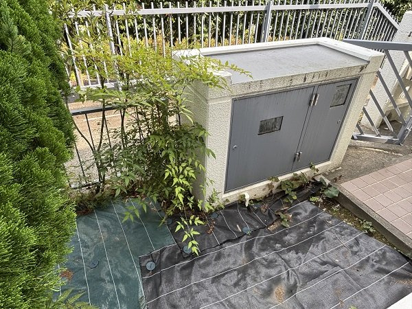 北側部分にも専用庭があります。