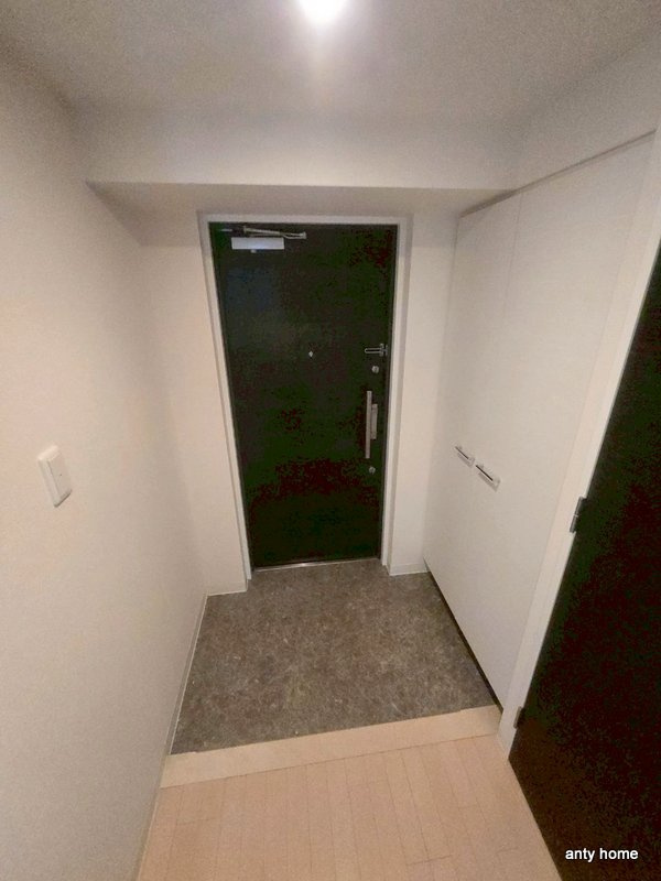 ES-Grande大阪 City Avenue　仲介手数料無料の玄関