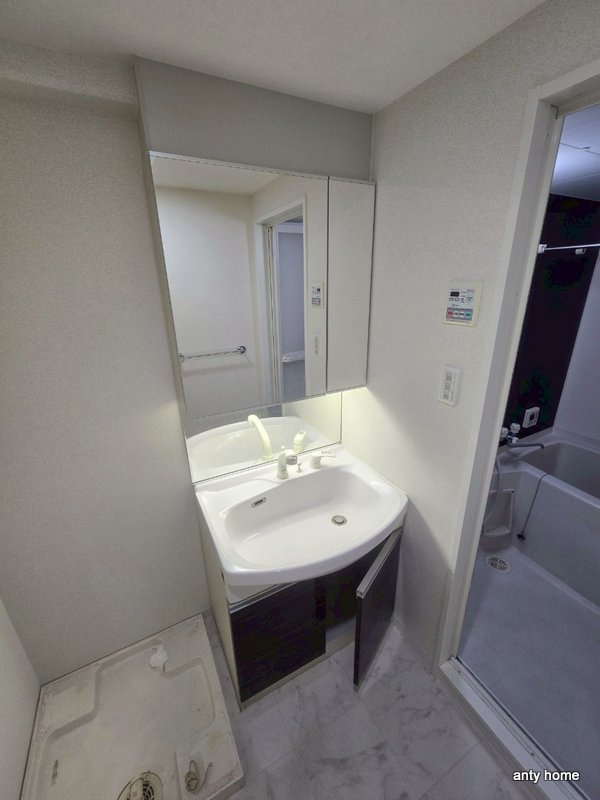 ES-Grande大阪 City Avenue　仲介手数料無料の洗面所