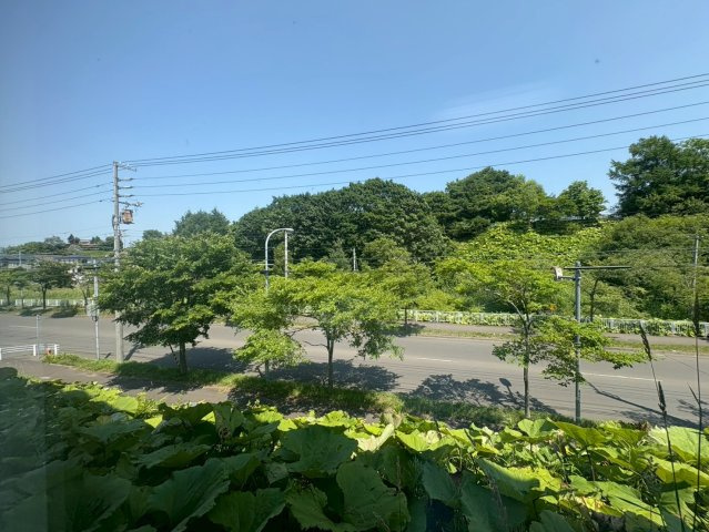 ヒルズラフォーレの展望