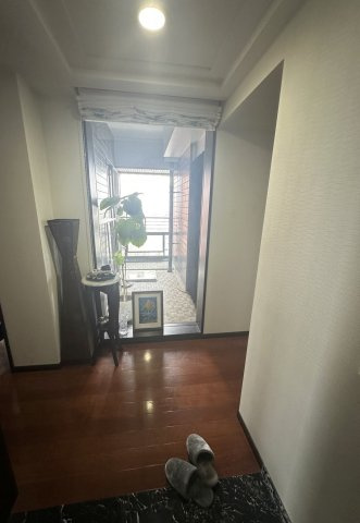 シティタワー前橋千代田町のバルコニー|バルコニー