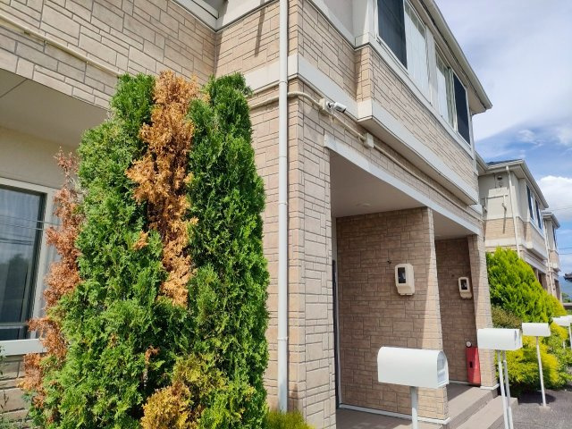 伊那市東春近 1棟アパートの外観