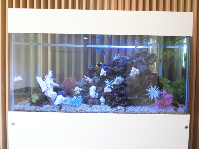 レ・ソール本八幡のその他