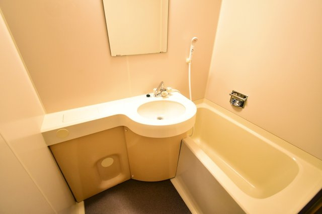 アーバンジャングルプレース174sの浴室