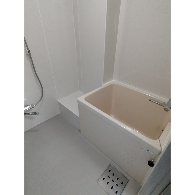アーバン藤の浴室