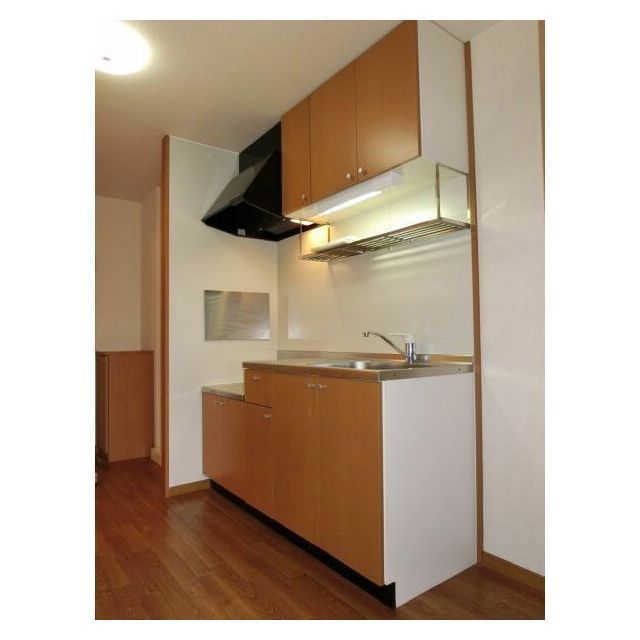 岐阜市下鵜飼のアパートのキッチン