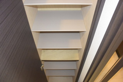 【その他】 | レオネクスト南花屋敷Ⅱ | シューズボックスです。