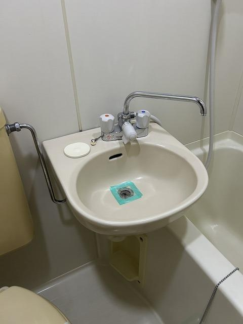 ドゥ・ボワハイツの洗面所