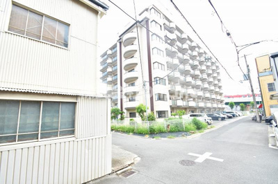 【展望】 | カメリア俊徳道