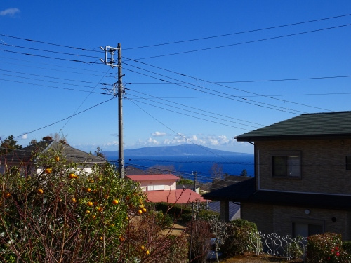 【展望】 | 伊豆急伊豆高原　戸建