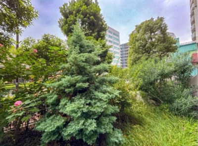 【展望】 | 東陽町スカイハイツ