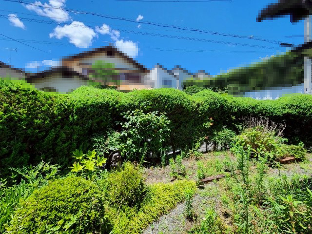 【価格改定】長岡京市粟生梶ケ前・粟生田内のその他|草木等の状況は現地をご確認ください。
現地ご案内可能です！